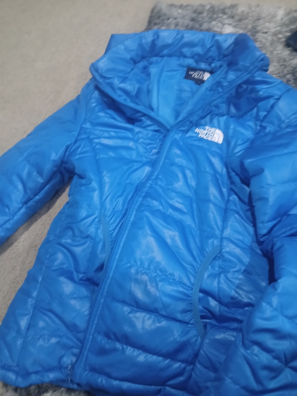 The North Face Blue Puffer Jacket with White Logo